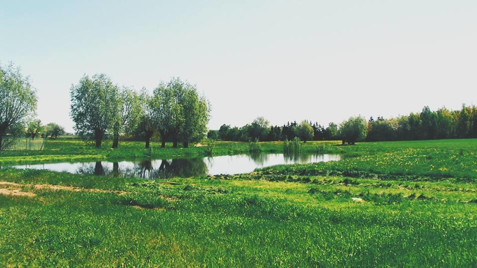 Chata Za Wsia Skaszewo Exterior foto